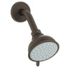 [26117ZB0] Shower Head With Shower Arm - Antique Bronze
