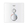 [29163LS0] Single Function Thermostatic Valve Trim - Moon White
