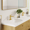 [39660000] Under Counter 21" Bathroom Sink - Alpine White