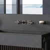 [20586AL1] Allure 2-Handle Wall Mount Faucet, 1.2 GPM (4.5 L/min) - Brushed Cool Sunrise