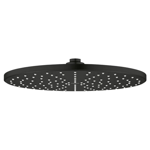 310 Mono Shower Head, 12